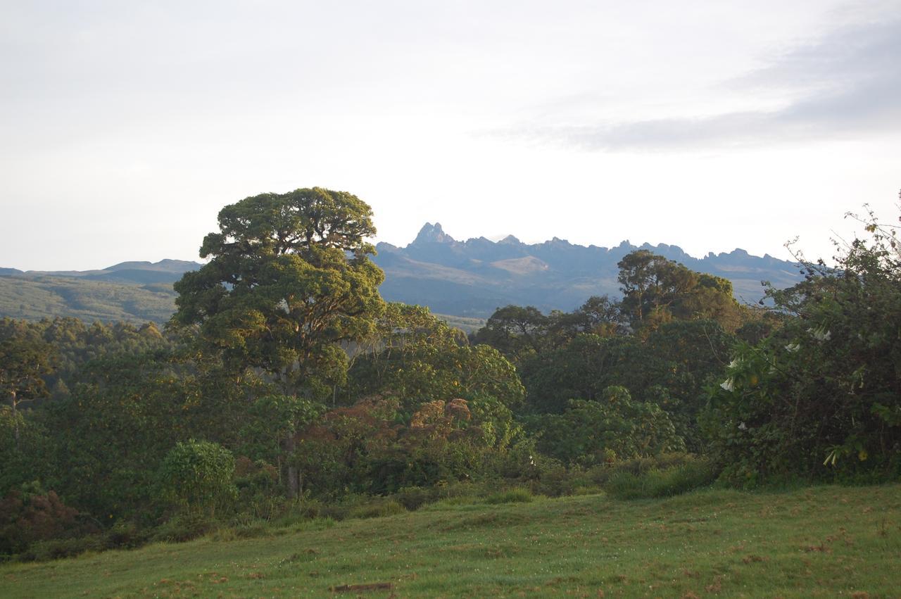 Castle Forest Lodge Mount Kenya National Park Exterior photo