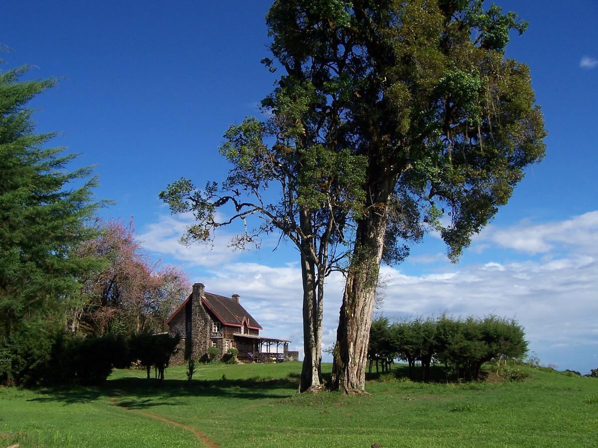 Castle Forest Lodge Mount Kenya National Park Exterior photo