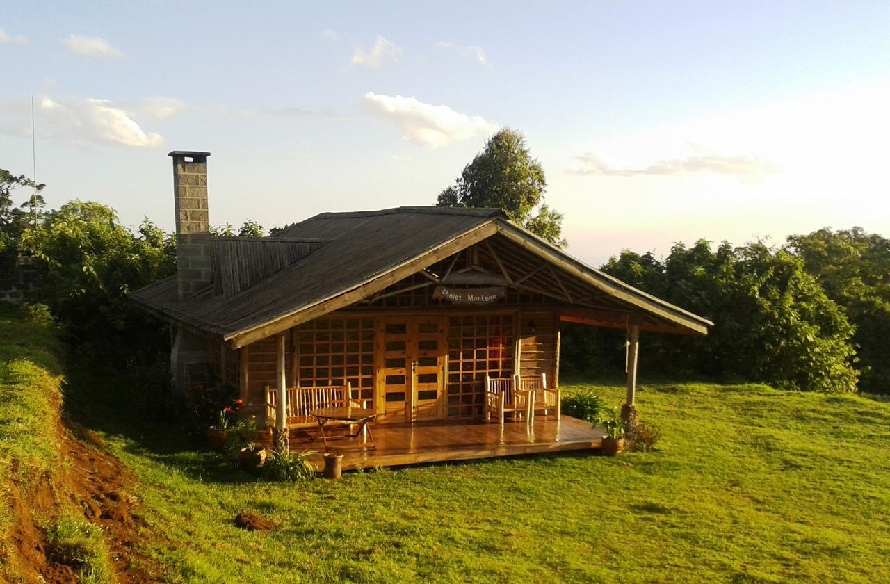 Castle Forest Lodge Mount Kenya National Park Exterior photo